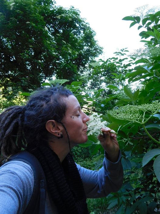 LES JARDINS DE CHANENC